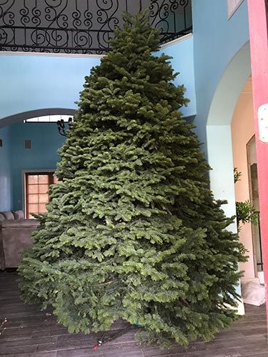 18'' Mardi Gras Tinsel Tree Christmas Holiday Tree 1.5FT Table-Top XMASS Decor 