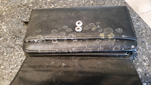 Moldy wallet
