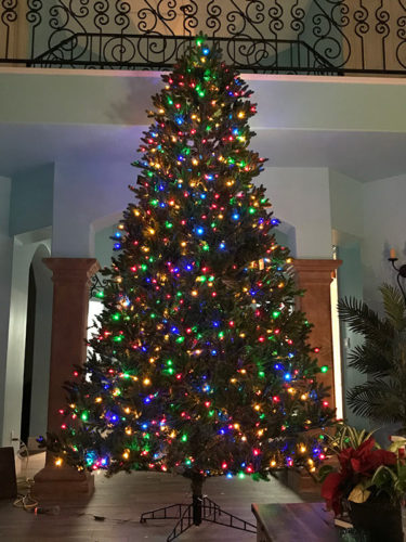 Christmas Tree undecorated
