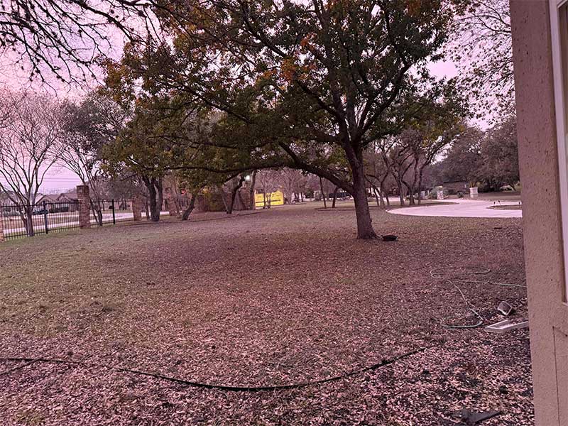 View from the kitchen window of a lawn with a tree with the purple light and blue and lavender sky but this time with color a little bit more intense.
