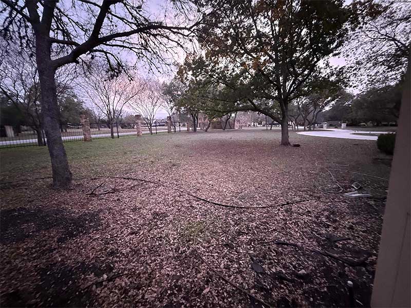 View from the kitchen window of a lawn with a tree with the purple light and blue and lavender sky.