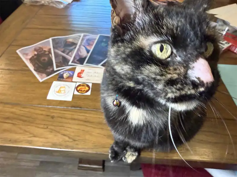 Batty, the tortie cat, from that angle.