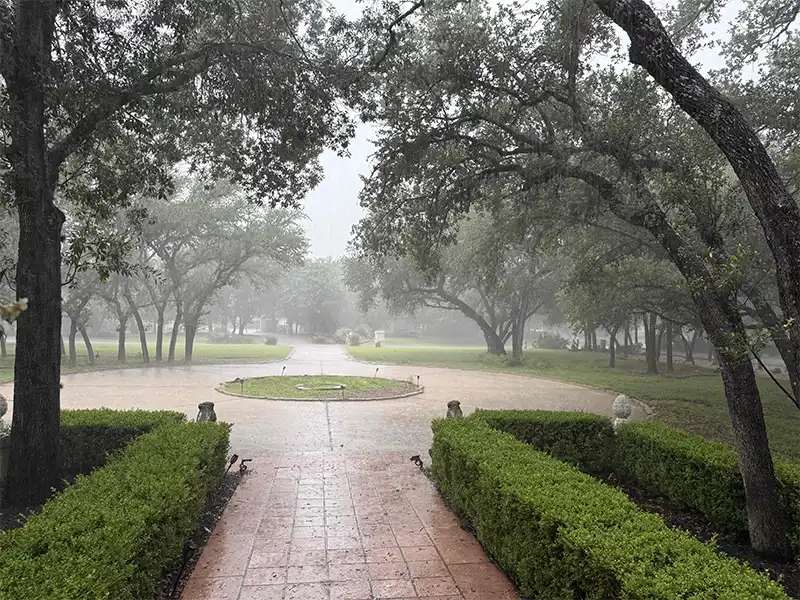 View outside the front door, with rain and drenched oaks.